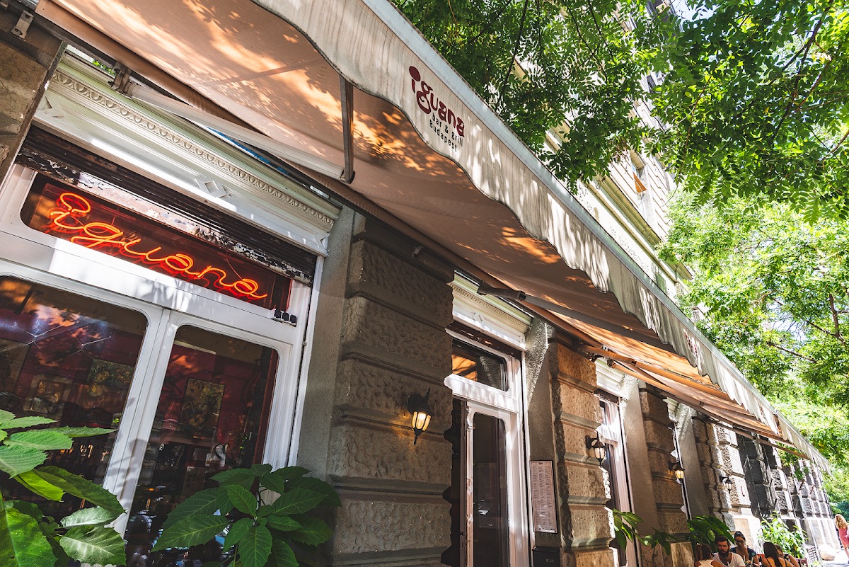 Photo of Iguana Bar & Grill